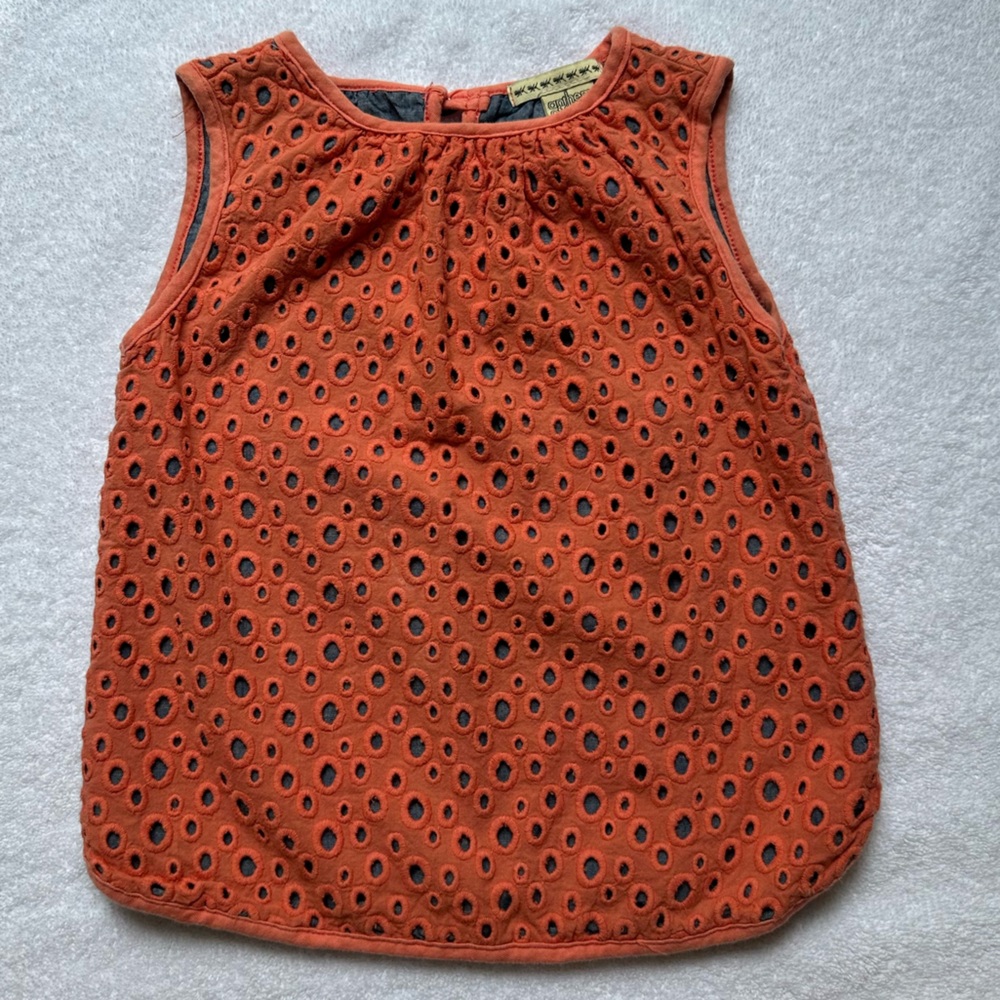 Anthem of the Ants Sleeveless Top